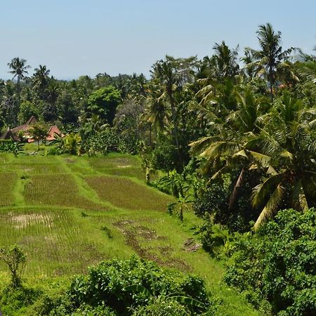Askara Guest House & Hostel Ubud  Exterior photo